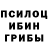 Галлюциногенные грибы Cubensis Bauka Zhanamanov