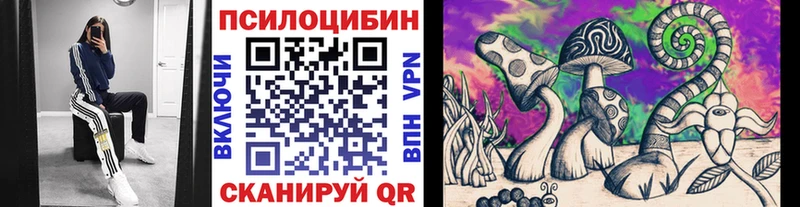 Купить  Вязники  Галлюциногенные грибы Magic Shrooms 