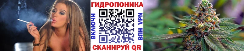 Купить закладки  Вязники  МАРИХУАНА Ganja 